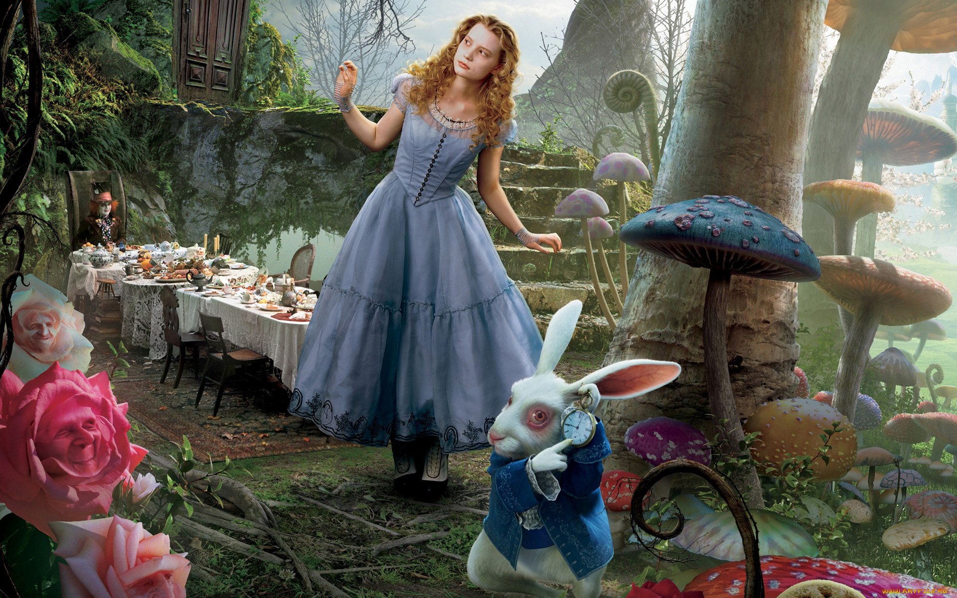 Sally likes alice in wonderland more. Миа Васиковска Алиса в стране. Алиса Тима Бертона. «Алиса в стране чудес» (1864). Алиса в стране чудес тим Бертон Алиса.