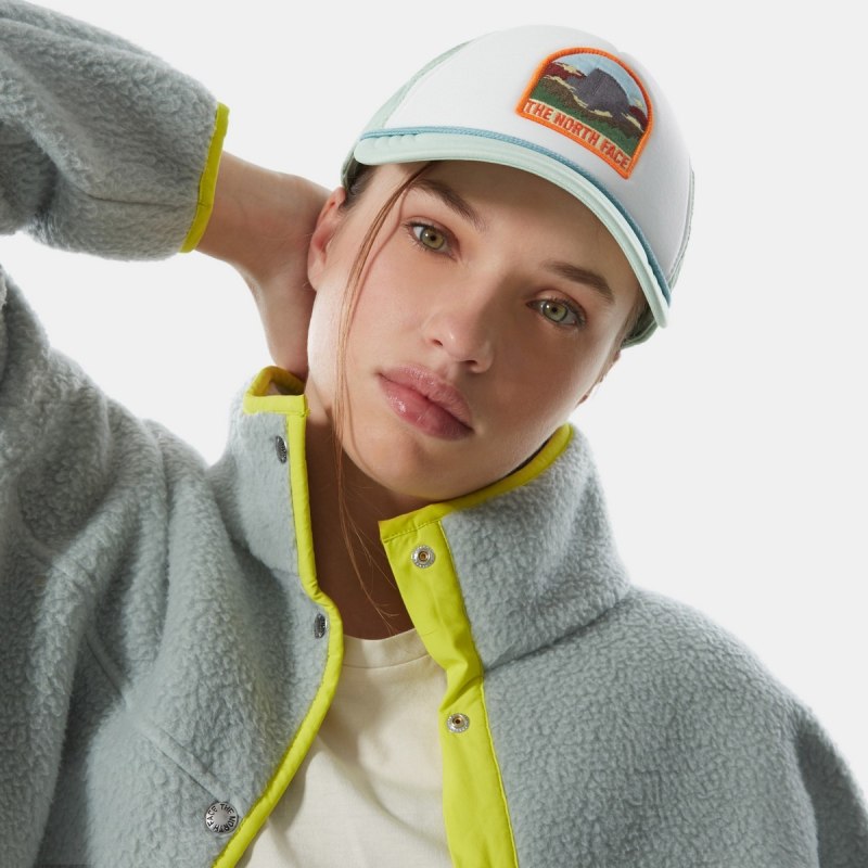 Кепка the North face eu Street 5 Panel