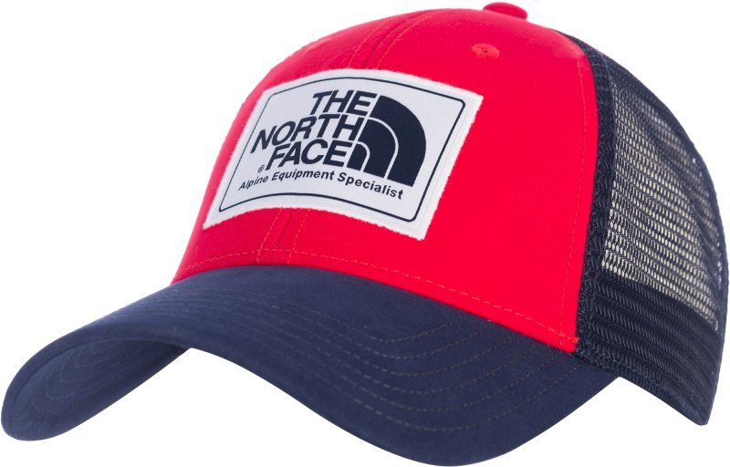 The North face Gucci кепка