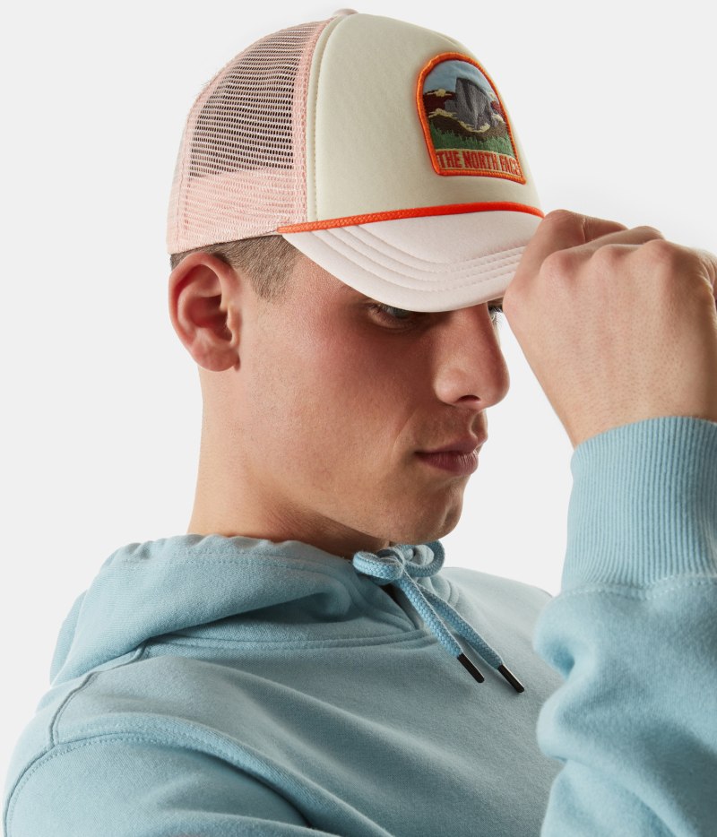 Кепка the North face