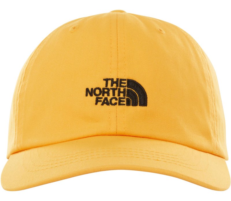 Бейсболка the North face DRYVENT logo