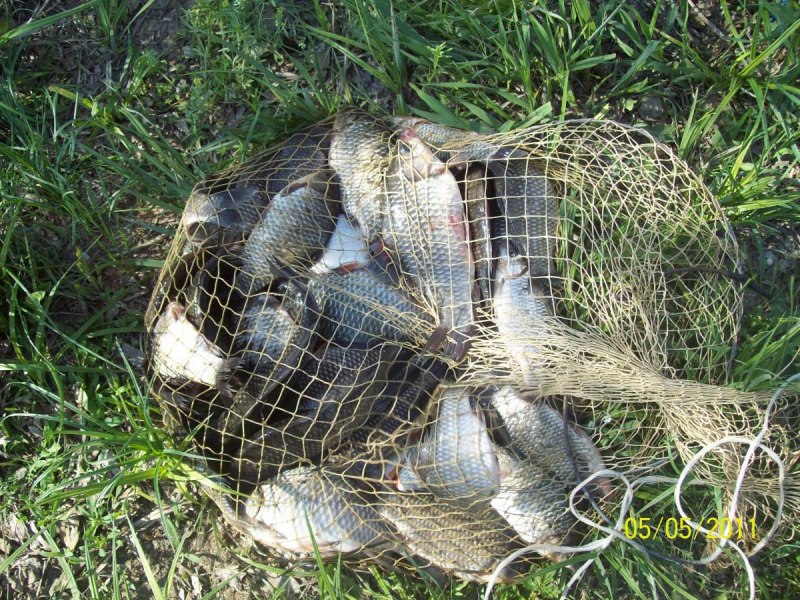 Бейсболка Salomon Trucker Flat cap