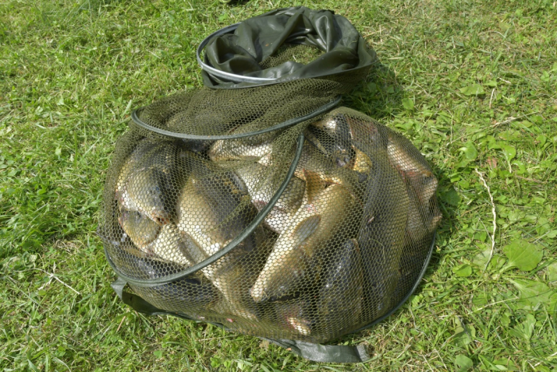 Рыбалка на карася сетью