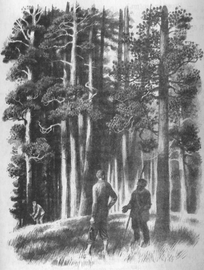 Коваль кепка с карасями книга