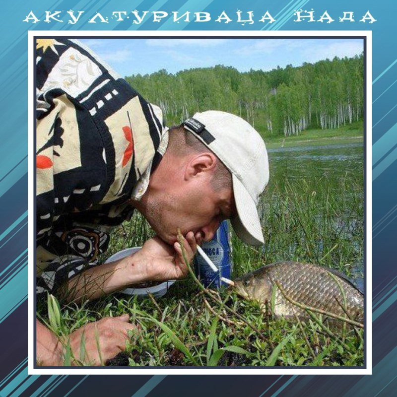 Улов карасей