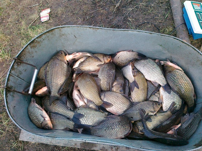 Кепка "Джереми"