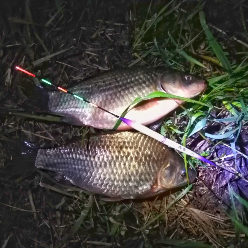 Patagonia кепка камуфляж