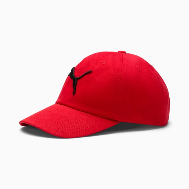 Бейсболка Puma LS Colourblock