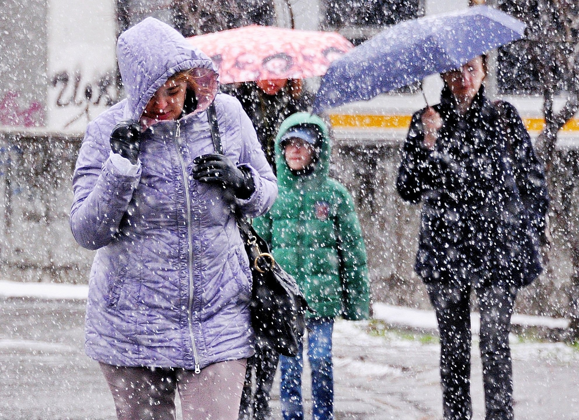 Холодно минус 3. Дождь со снегом в Москве. Мокрый снег. Резкое похолодание. Мокрый снег в Москве.