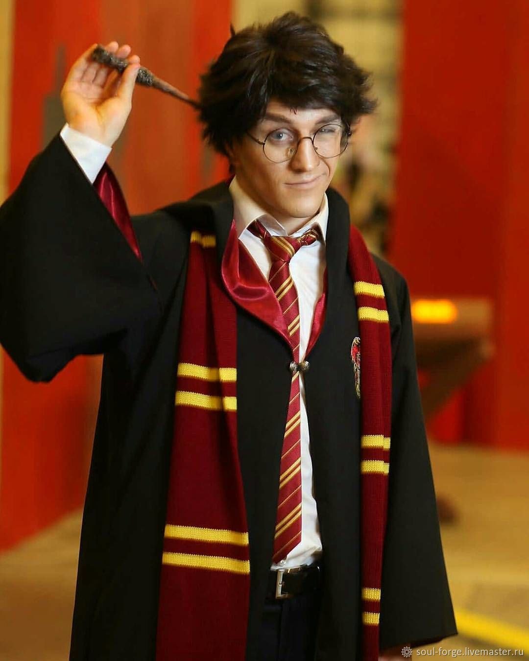 Potter cosplay. Potter cosplay