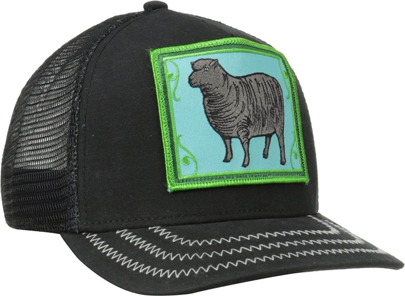 Бейсболка Goorin brothers Tiger