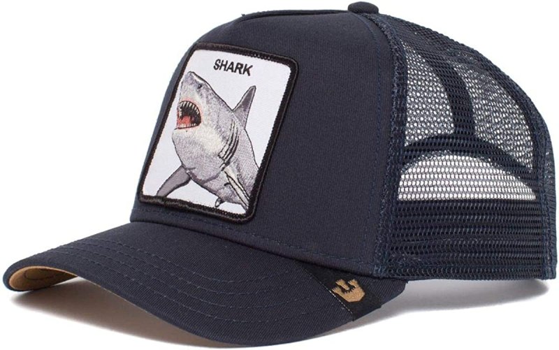 Кепка Goorin brothers Toucan