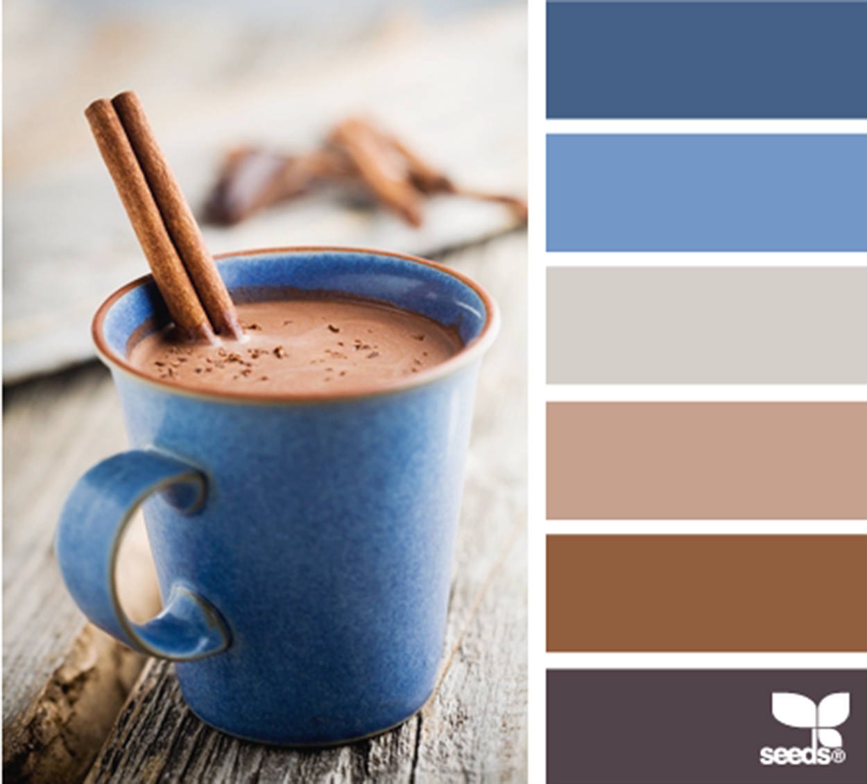 Сочетание цвета какао. Сочетание цветов голубой и коричневый. Сочетание голубого и коричневого. Сочетание цветов коричневый и синий. Сочетание цветов в интерьере кофейный.
