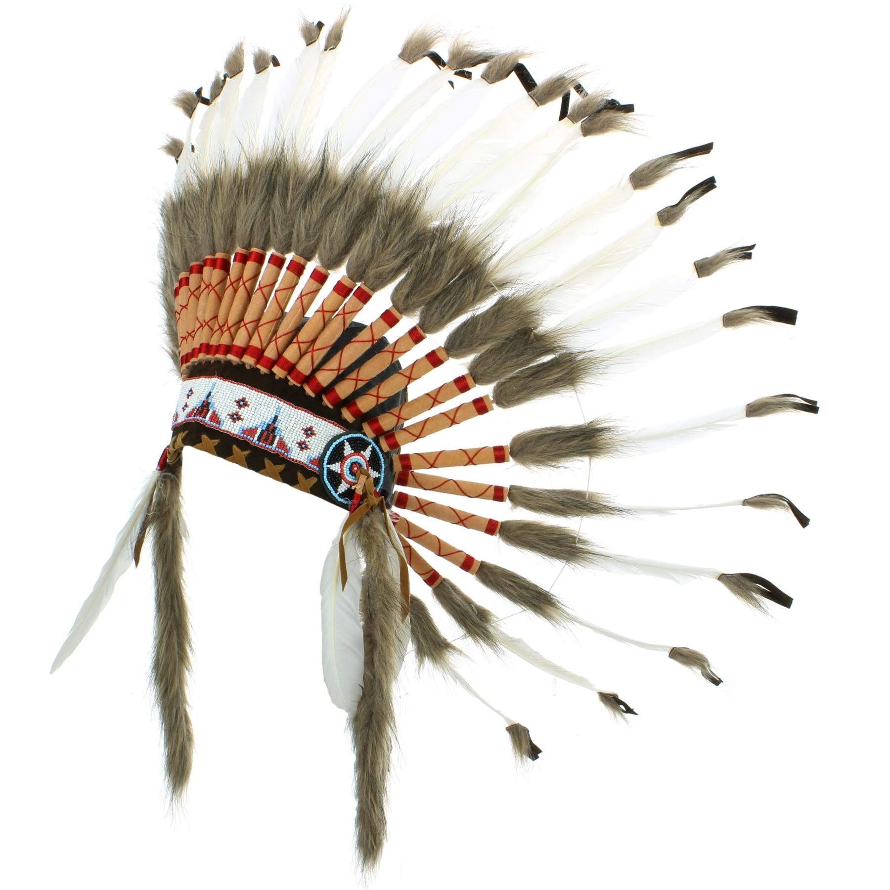 Индеец 7 букв сканворд. Индейский Роуч. Головной убор индейца Роуч. Головные уборы индейцев Северной Америки. Церемониальный костюм индейцев Калифорнии из перьев ворона.