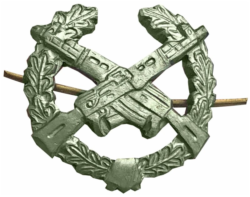 Нагрудный знак Мотострелковые войска