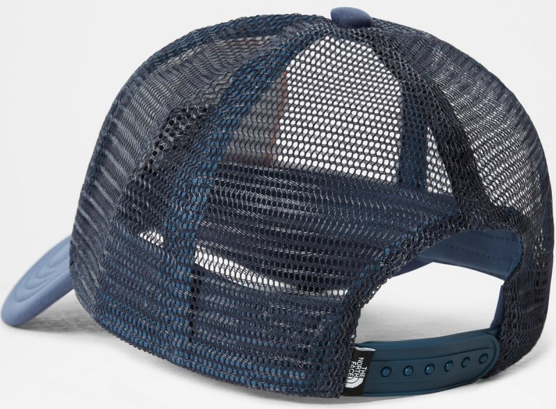 The North face Trucker cap