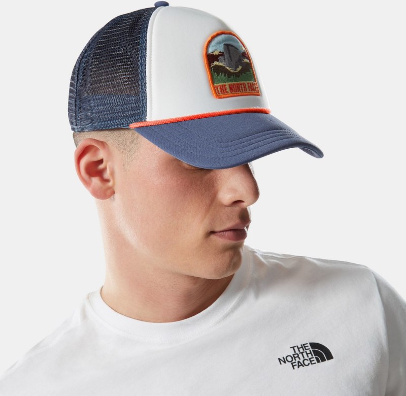 Кепка the North face