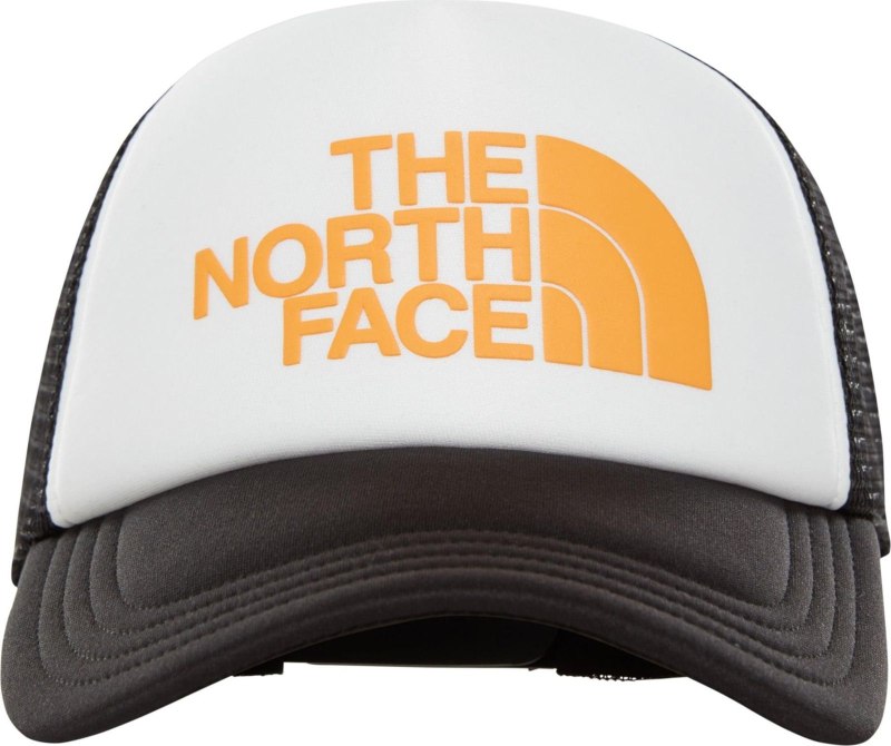 Кепка the North face