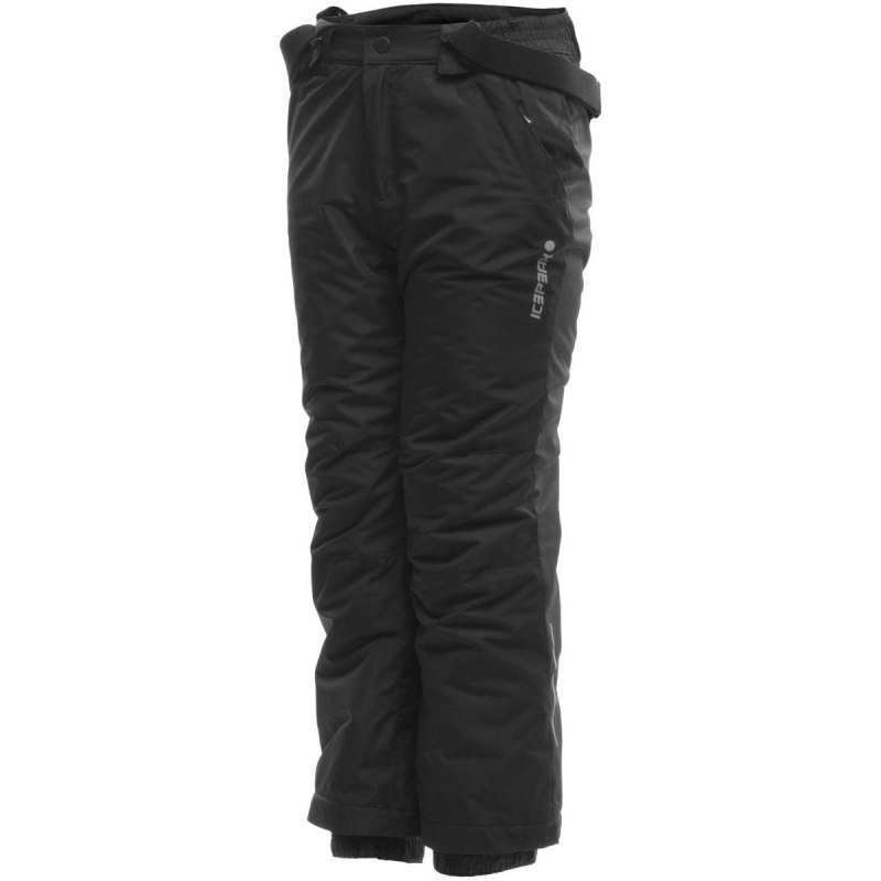 Брюки Icepeak мужские утепленные