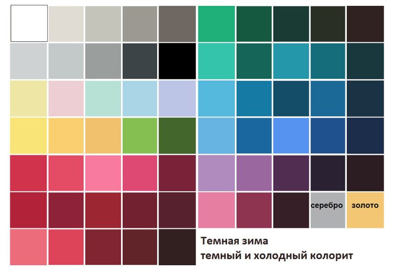 Тёмная зима цветотип палитра