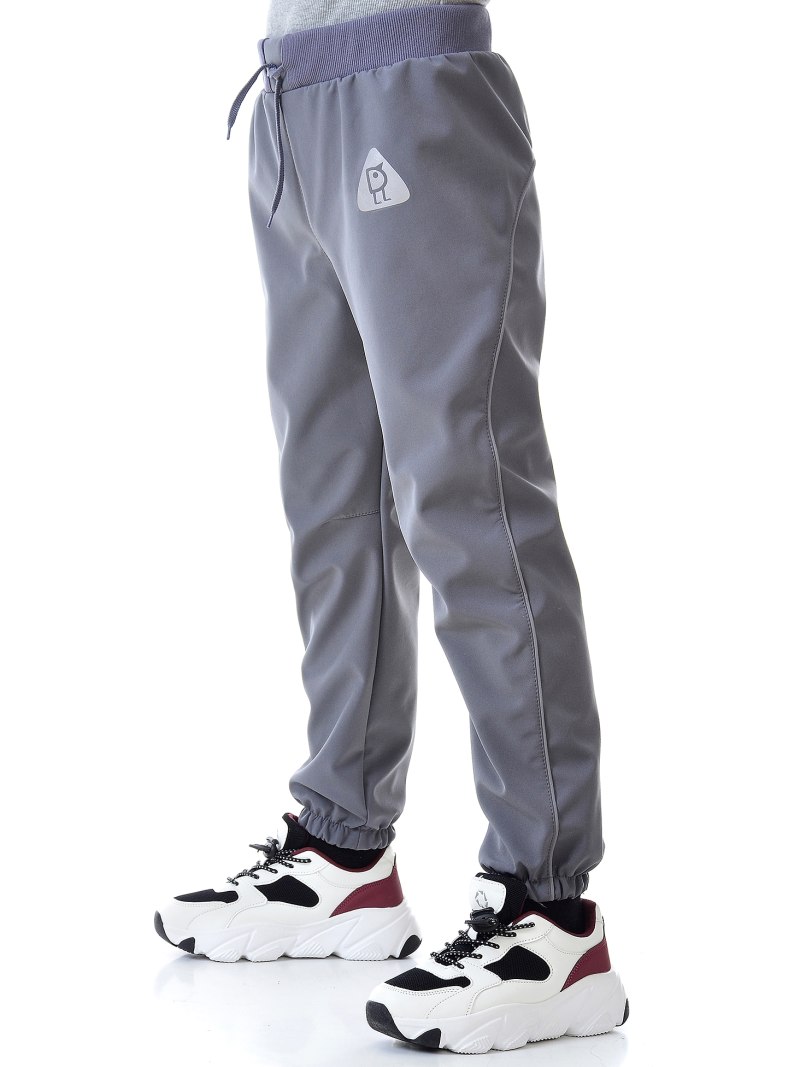 Брюки Air Jordan софтшелл