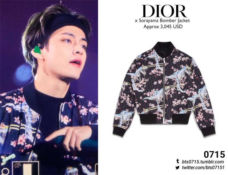 Dior Bomber Jacket