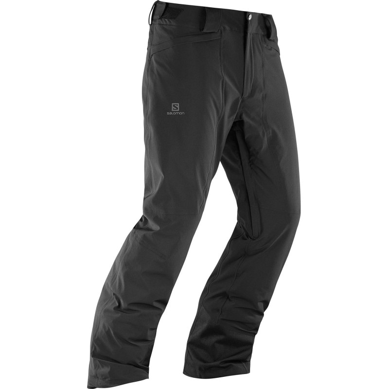 Штаны Salomon мужские зимние