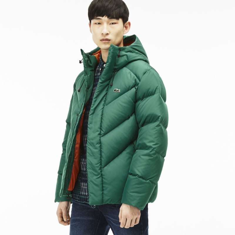 Lacoste Green Jacket