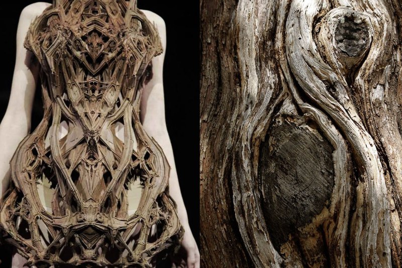 Iris van Herpen дизайнер
