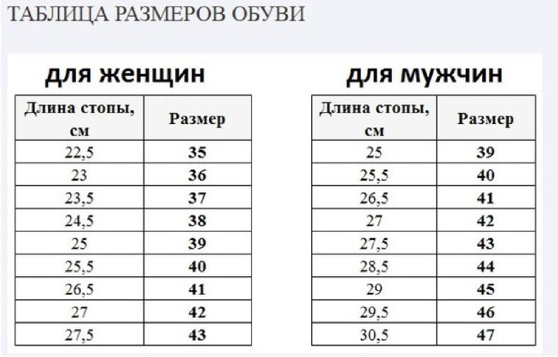 Длина стельки 24.5 см какой размер обуви