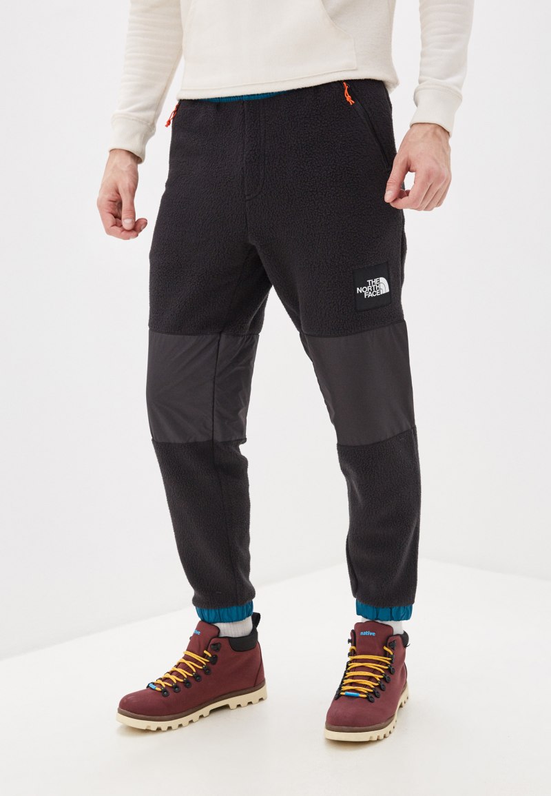 Спортивные штаны the North face
