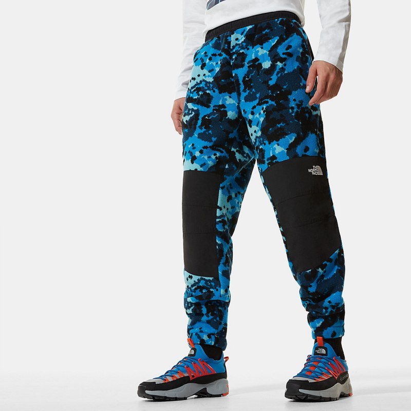 Брюки the North face Denali