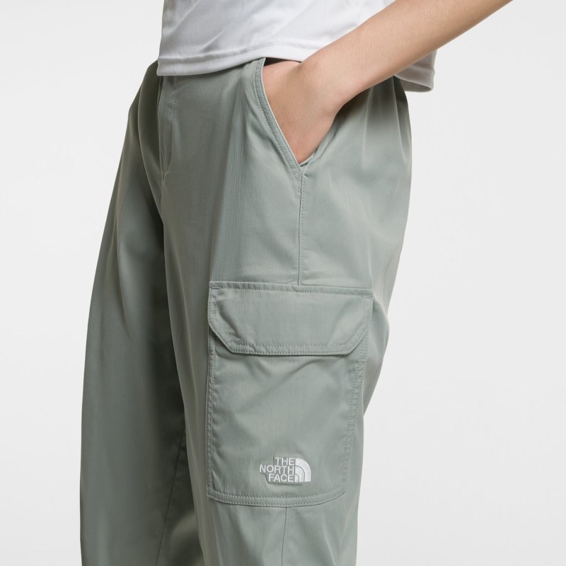 Брюки трансформеры the North face