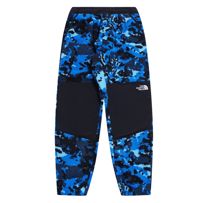 Спортивные брюки the North face m Denali Pant