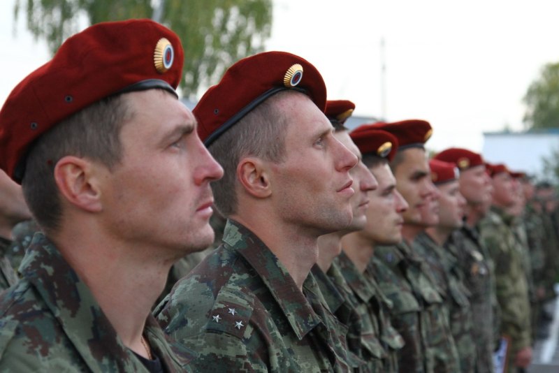 Краповый берет Витязь
