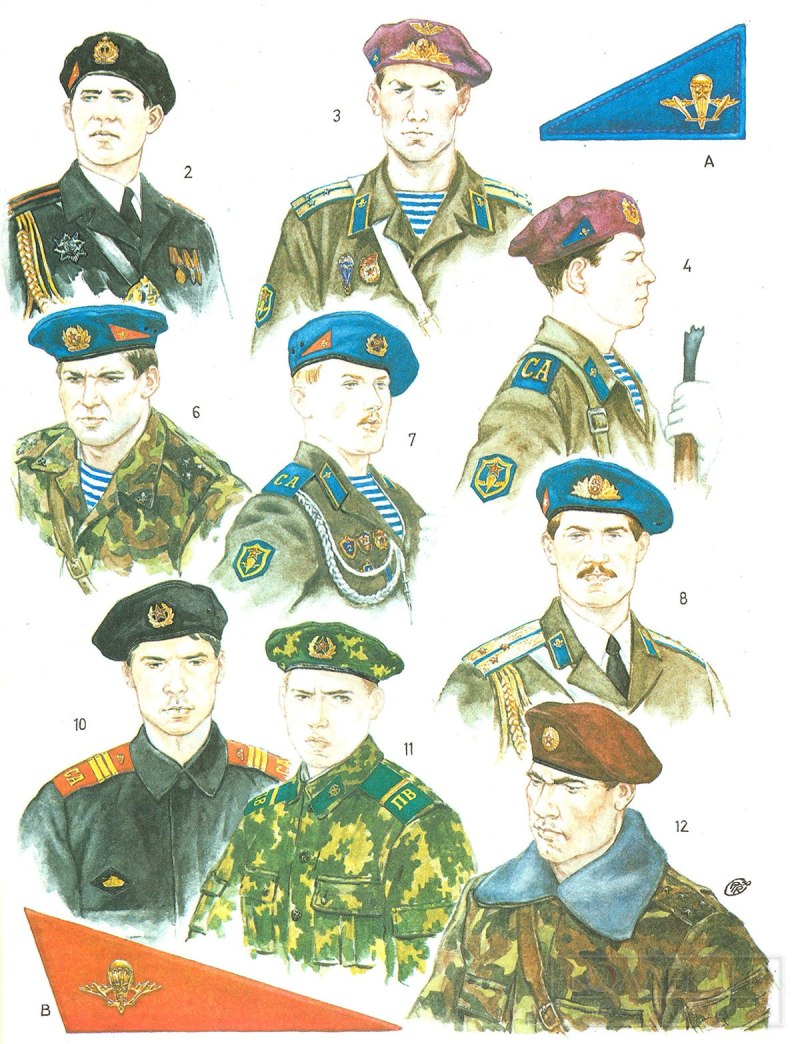Береты военные цвета