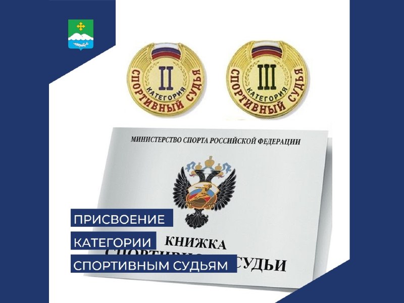 Значок спортивный судья 2 категории