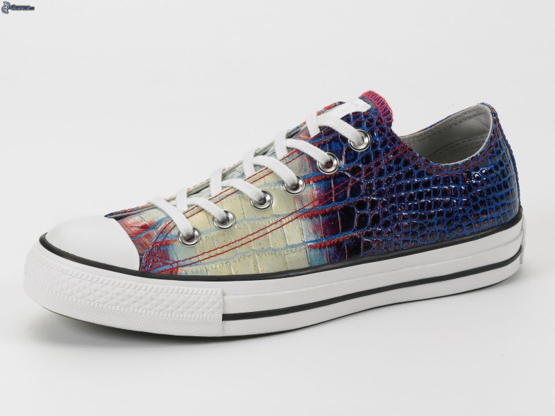 Converse Crocodile