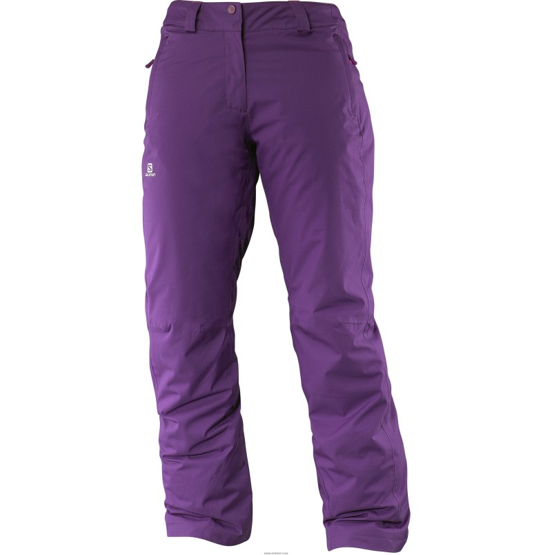 Горнолыжные брюки женские Rossignol