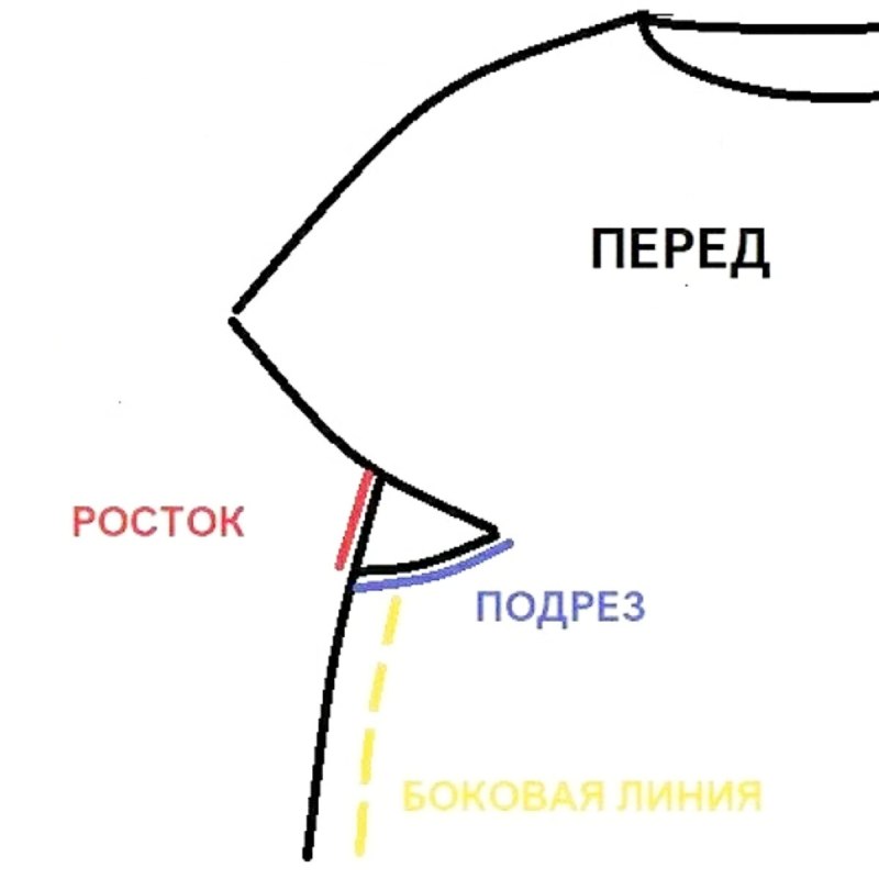 Азиатский Росток сверху спицами