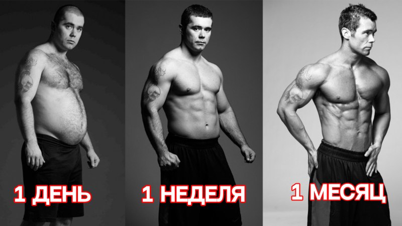 Эктоморф 75 кг