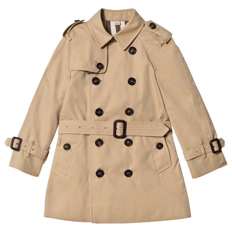 Burberry Raincoat
