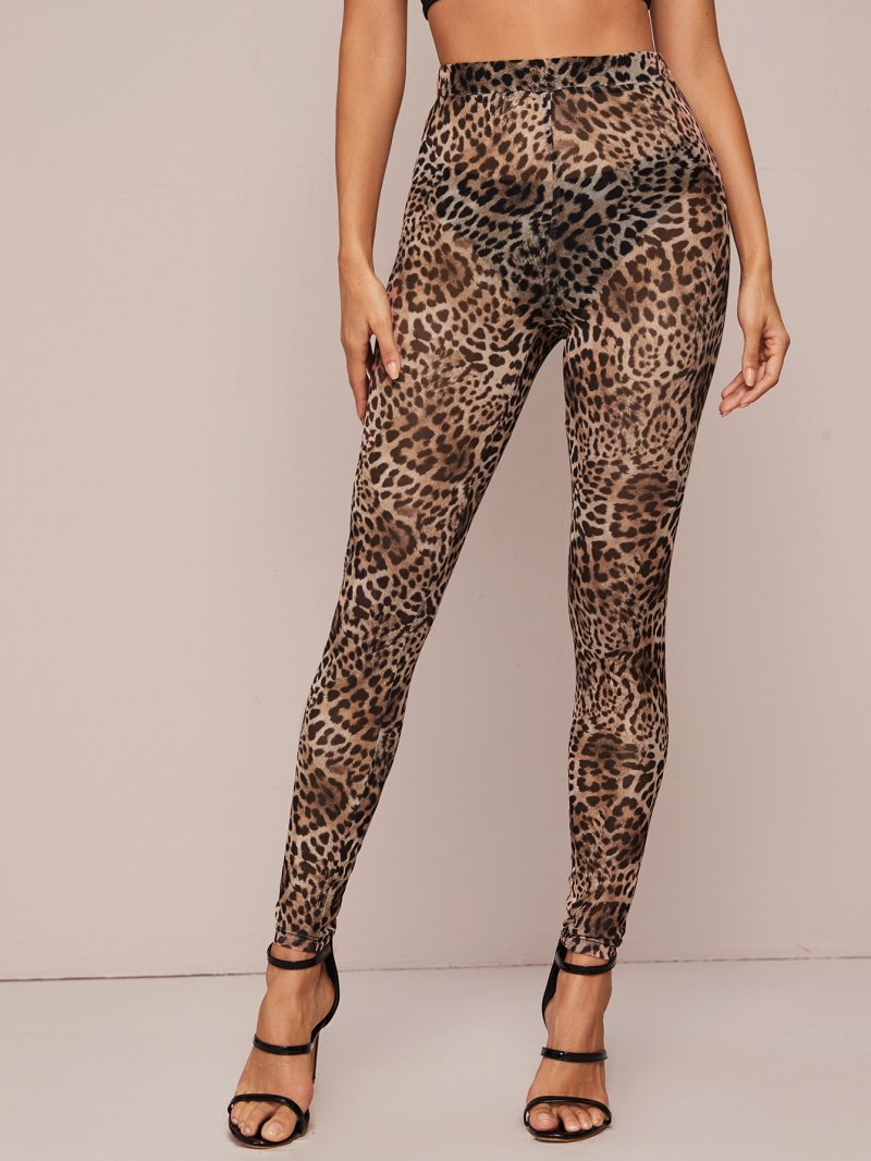 Леопардовые колготки Calzedonia