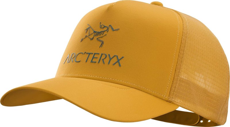 Кепка Arcteryx