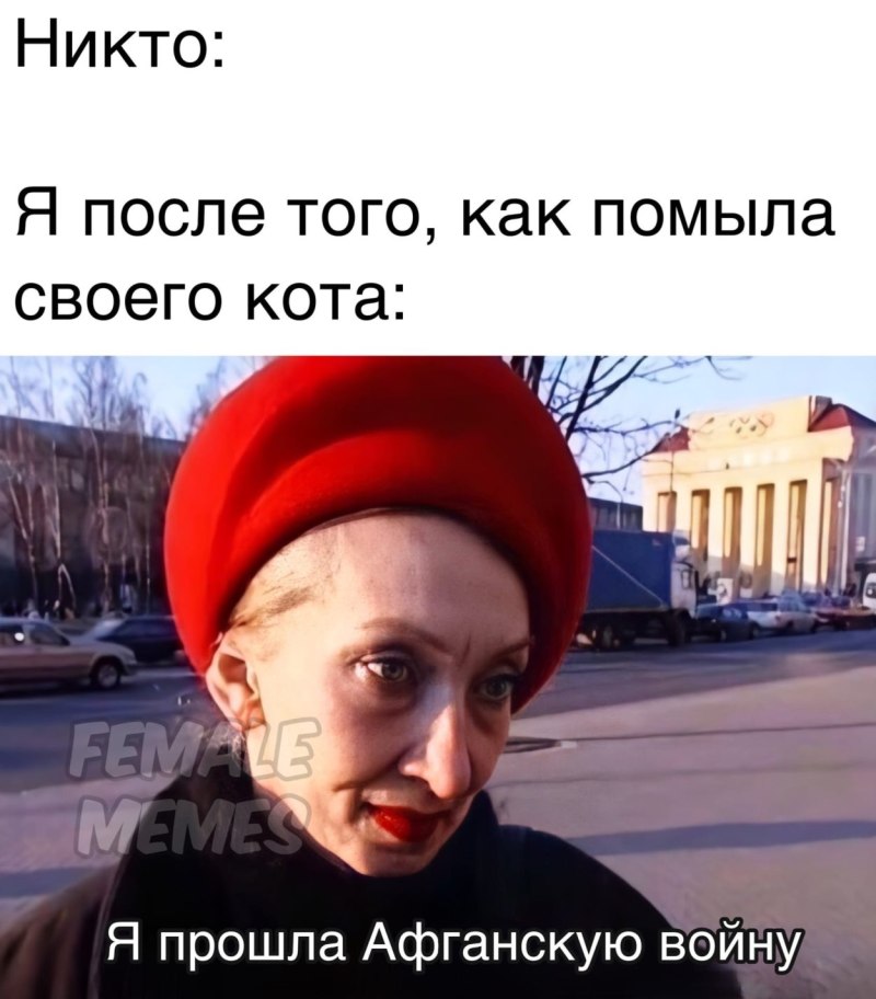 Меп я прошла афганскую войну