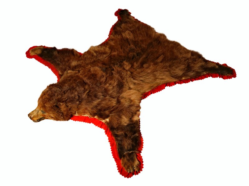 Шкура медведя