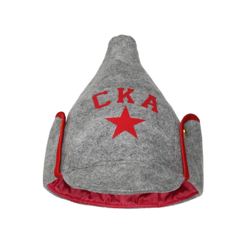 Буденовка Васнецова
