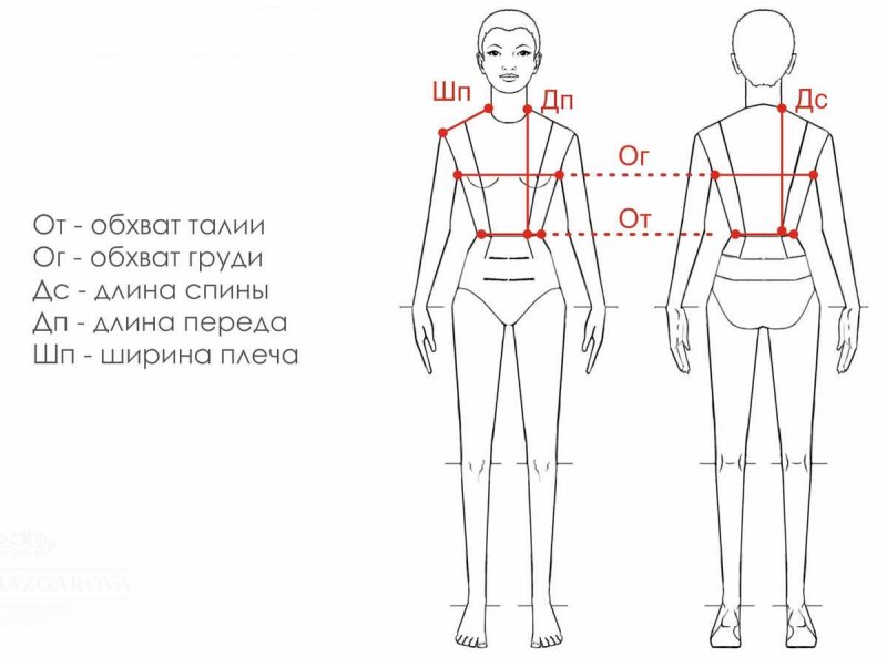 Правильное снятие мерок для построения выкройки