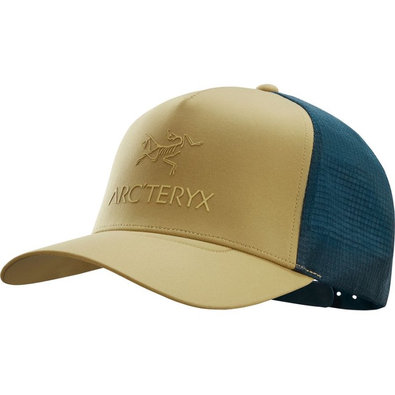 Arcteryx Trucker cap