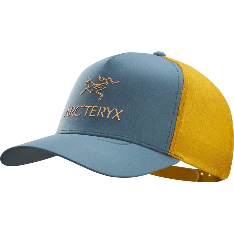 Бейсболка Arc'teryx